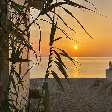 Apartment 2 Pieces Avec Piscine, Tennis Et Parking, Animaux Permis, A 500m De La - Fr-1-776-121 Argeles-sur-Mer
